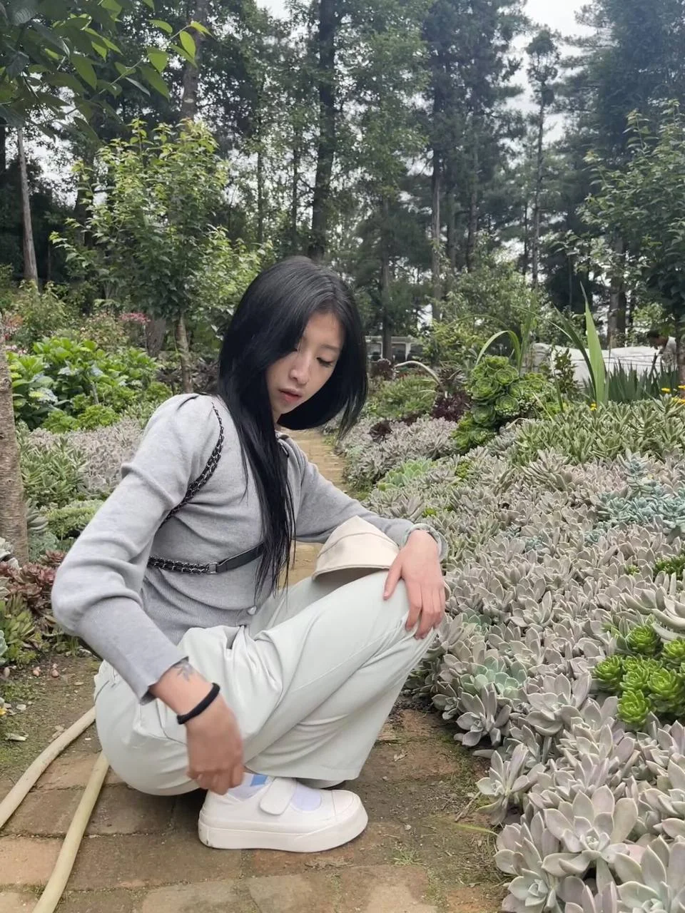 长发女孩蹲在多肉花圃边